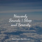 Heavenly Sounds | Sleep and Serenity
