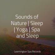 Sounds of Nature | Sleep | Yoga | Spa and Sleep
