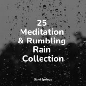 25 Meditation & Rumbling Rain Collection