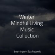 Winter Mindful Living Music Collection