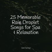 25 Memorable Rain Droplet Songs for Spa & Relaxation