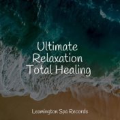 Ultimate Relaxation Total Healing