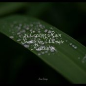 25 Exciting Rain Sounds for Ultimate Relaxation