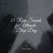25 Rain Sounds for Ultimate Drop Day