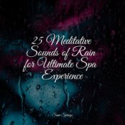 25 Meditative Sounds of Rain for Ultimate Spa Experience