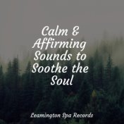 Calm & Affirming Sounds to Soothe the Soul