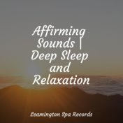 Affirming Sounds | Deep Sleep and Relaxation