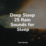 Deep Sleep 25 Rain Sounds for Sleep