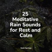 25 Meditative Rain Sounds for Rest and Calm