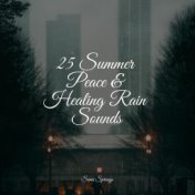 25 Summer Peace & Healing Rain Sounds