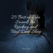 25 Best of Rain Sounds for Reading and Total Deep Sleep