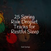 25 Spring Rain Droplet Tracks for Restful Sleep