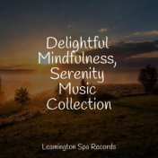 Delightful Mindfulness, Serenity Music Collection