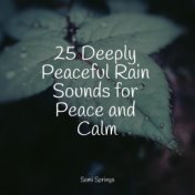 25 Deeply Peaceful Rain Sounds for Peace and Calm
