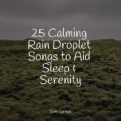 25 Calming Rain Droplet Songs to Aid Sleep & Serenity