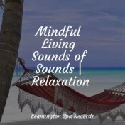 Mindful Living Sounds of Sounds | Relaxation