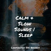 Calm & Slow Sounds | Sleep