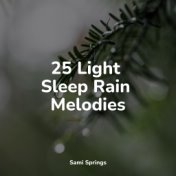 25 Light Sleep Rain Melodies