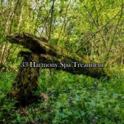 33 Harmony Spa Treatment