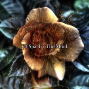 60 Spa To The Mind