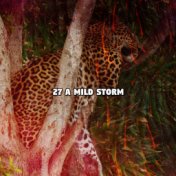 27 A Mild Storm