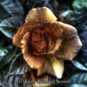 37 Truly Tranquil Sound