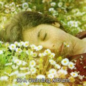 30 A Calming Album