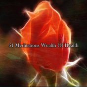51 Meditations Wealth Of Health