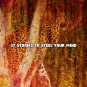 37 Storms To Steel Your Mind