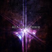 63 A Life Of Peace