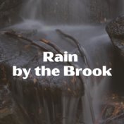 Rain by the Brook