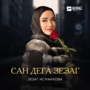 Сан дега зезаг