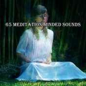 65 Meditation Minded Sounds