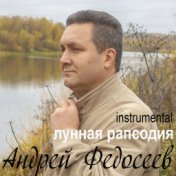 Лунная рапсодия (instrumental)