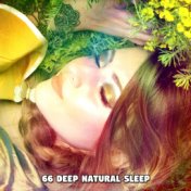 66 Deep Natural Sleep