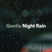 Gentle Night Rain