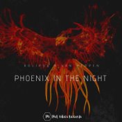 Phoenix in the Night