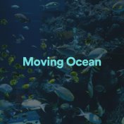 Moving Ocean