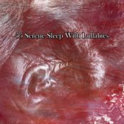 55 Serene Sleep With Lullabies