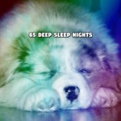 65 Deep Sleep Nights