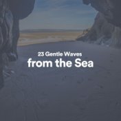 23 Gentle Waves from the Sea