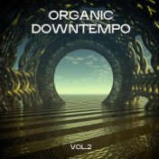 Organic Downtempo, Vol. 2