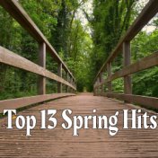 Top 13 Spring Hits
