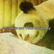 25 The Great Wilds Rainy Day