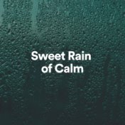 Sweet Rain of Calm