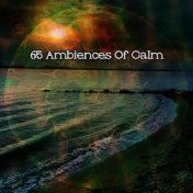 65 Ambiences of Calm