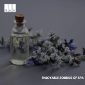 Enjoyable Sounds of Spa