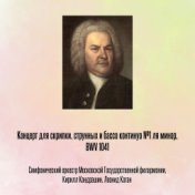 Концерт для скрипки, струнных и бассо континуо №1 ля минор, BWV 1041