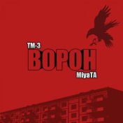 Ворон