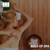 Bliss of Spa